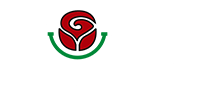 Rose Plumbing Logo